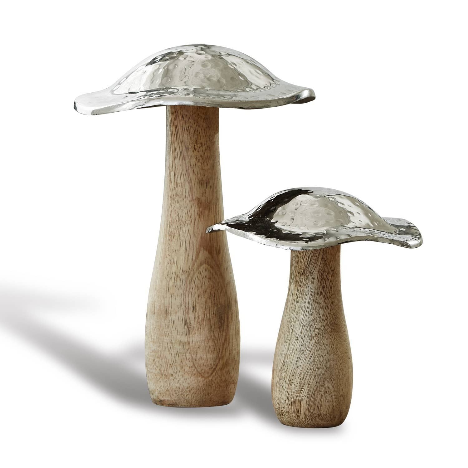 Sierpaddenstoel set van 2 Boletus