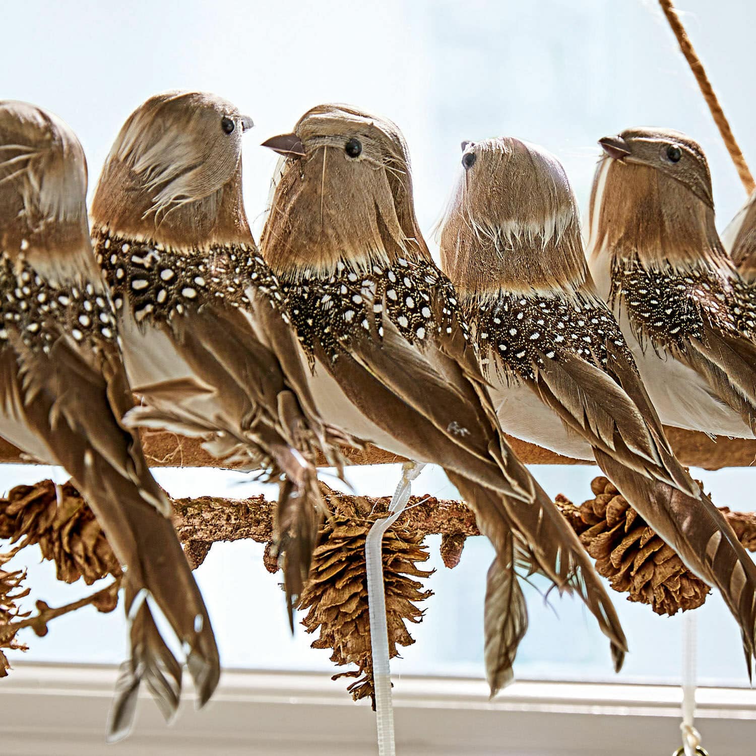 Tak met vogeltjes Orely