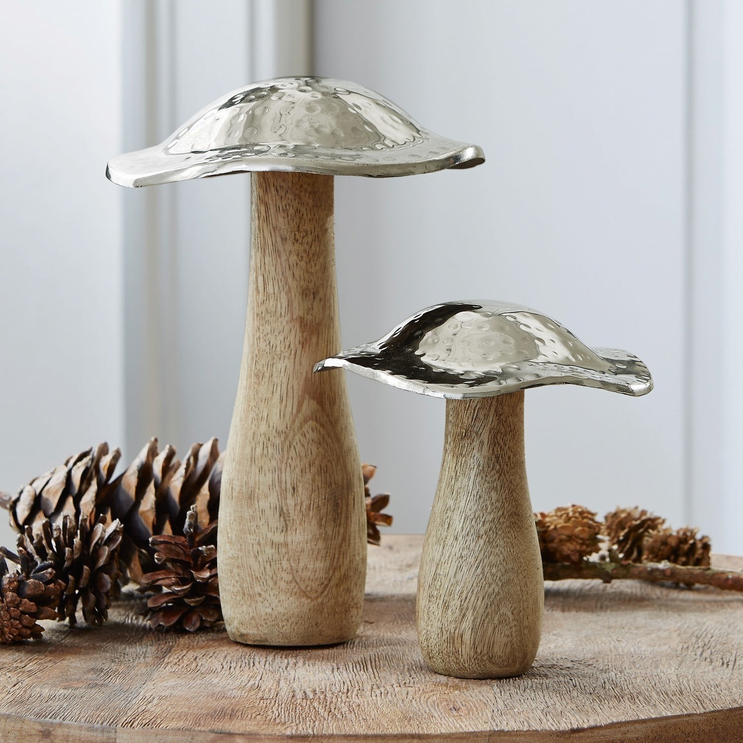 Sierpaddenstoel set van 2 Boletus