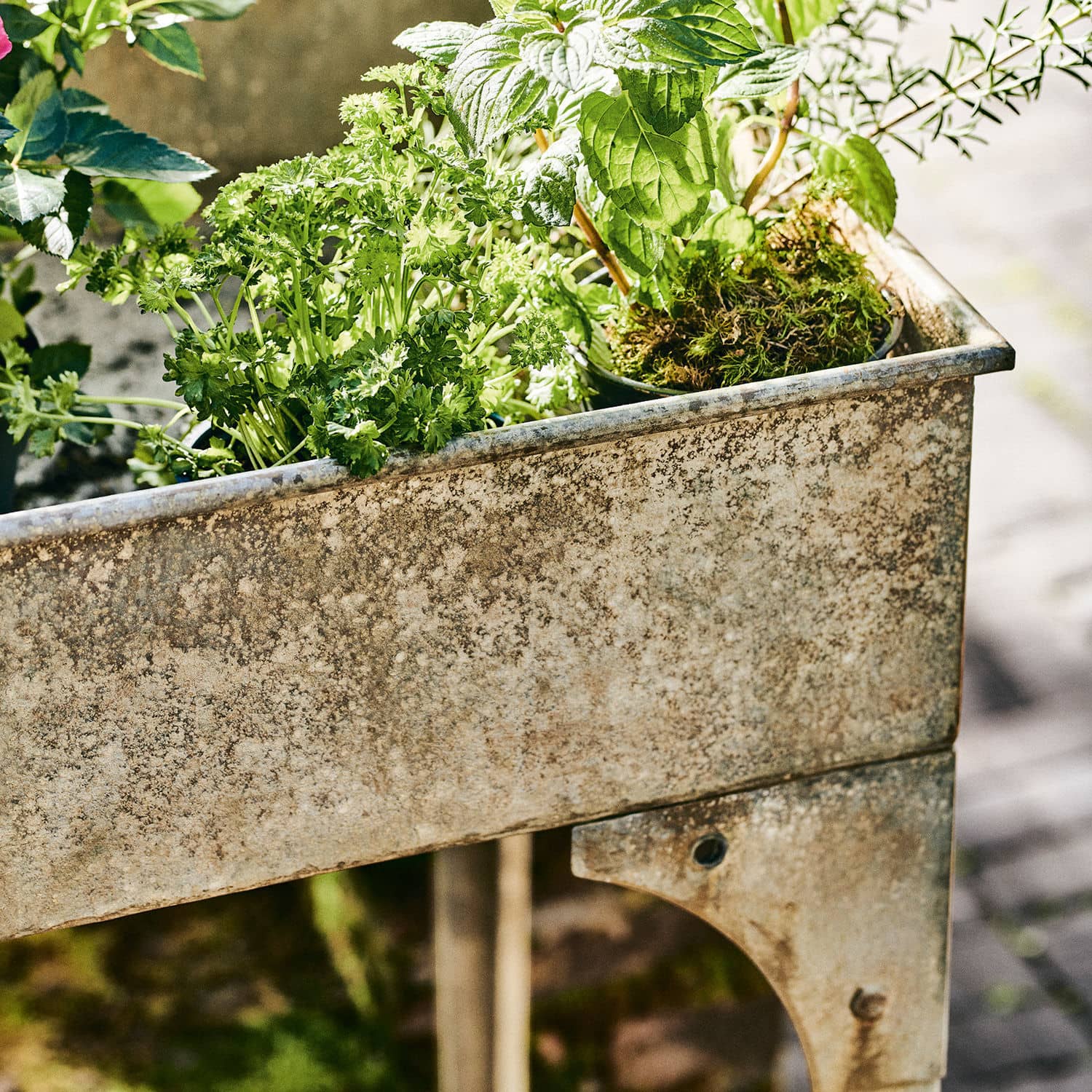 Moestuintafel Tevin