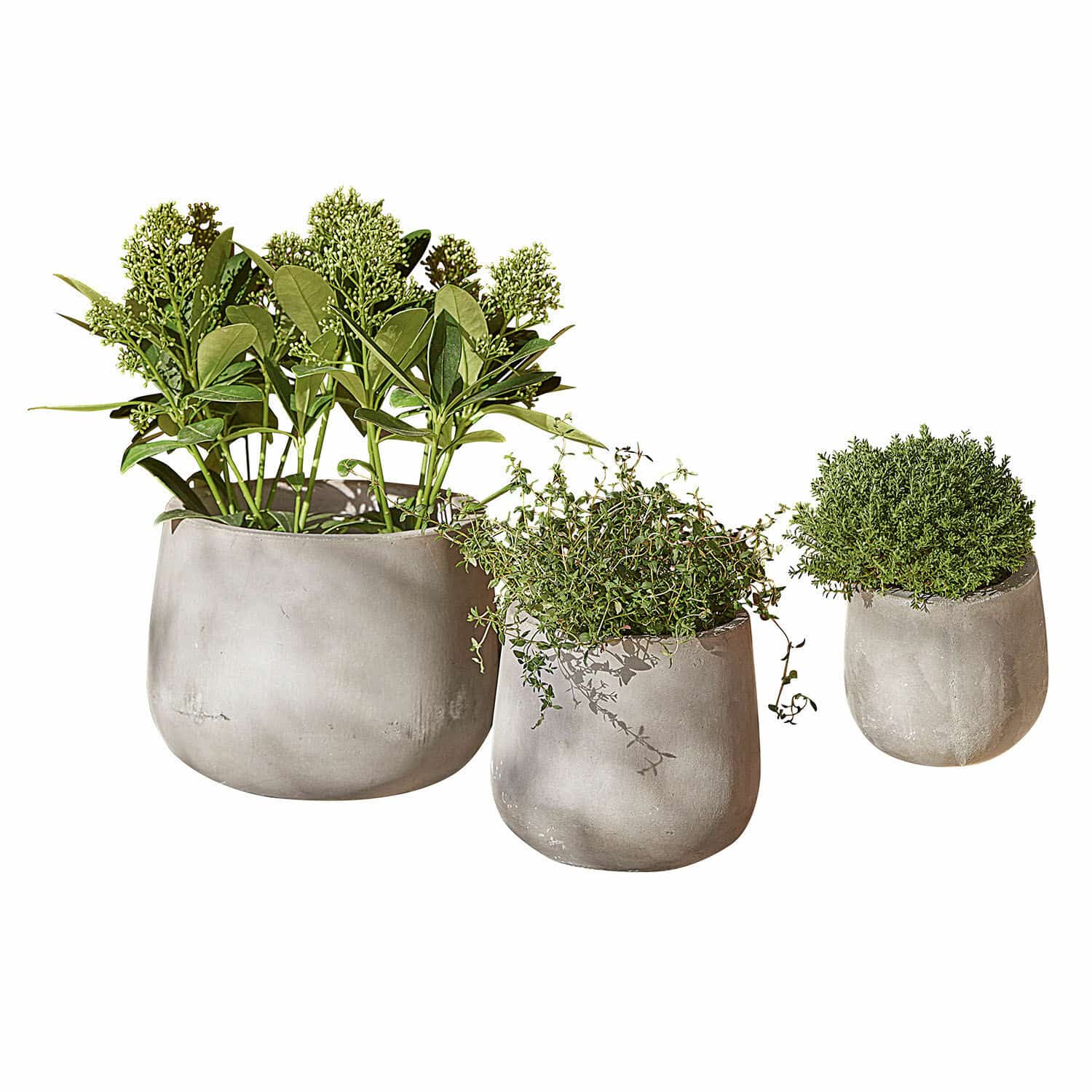 Sierpot set van 3 Sunvale