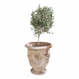 Sierpot Garwood antiekbeige